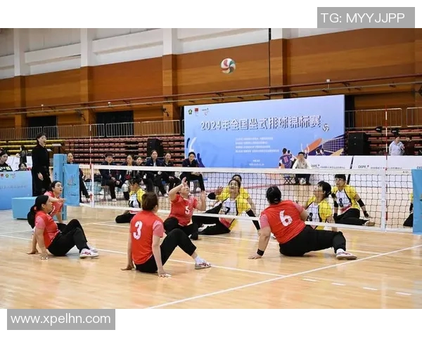 重庆排球队在全国排球心理素质排行榜中荣获第七名的佳绩分析