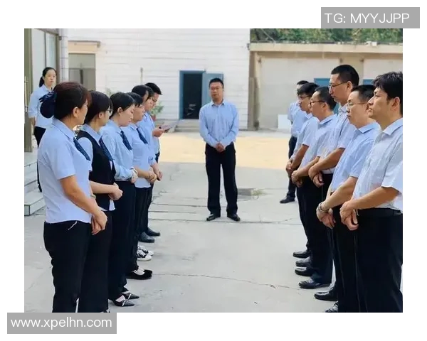 体育实时数据重庆篮球队转型之路的纪实探索与发展历程分析