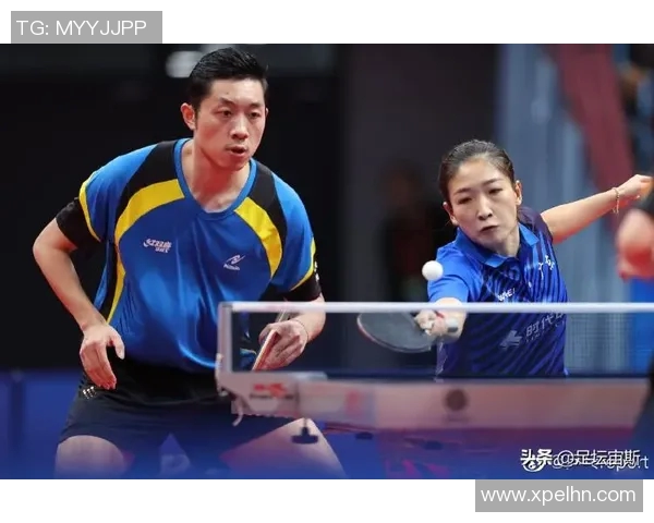 运动数据乒乓球盛宴深入解析广州乒乓球队的默契配合与战术运用
