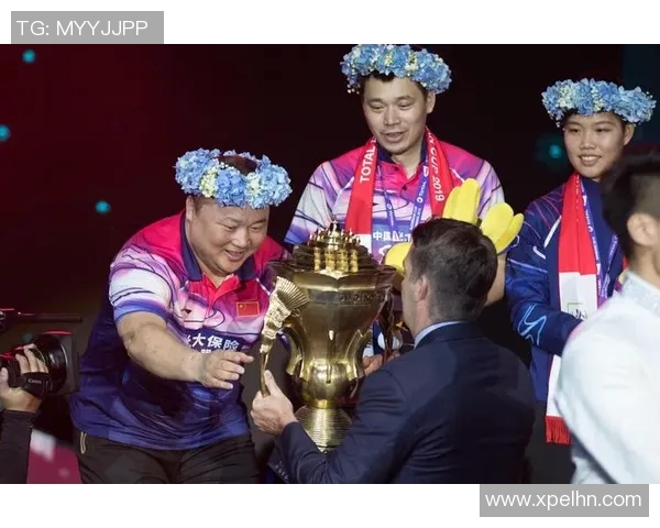 运动最新数据探寻南京羽毛球队的实力与成就背后的故事与秘密